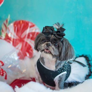 Meet your Posher, Camille